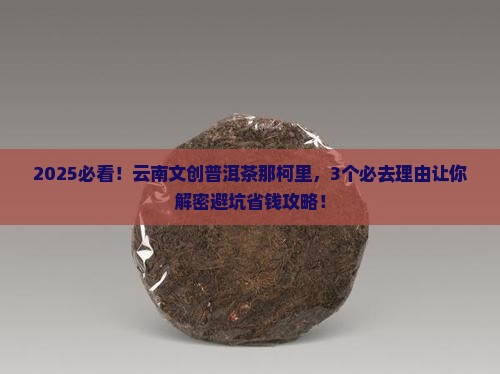 云南文创普洱茶那柯里