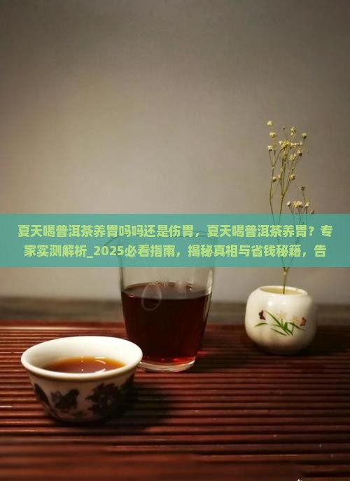 夏天喝普洱茶养胃吗吗还是伤胃