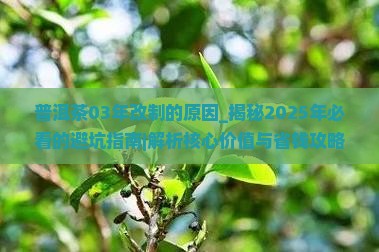 普洱茶03年改制的原因