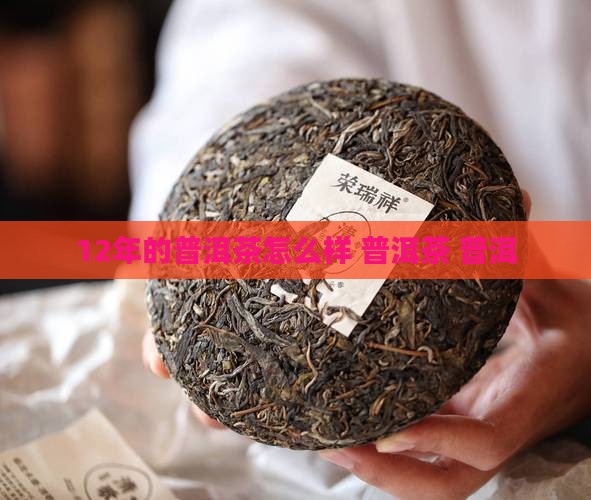 12年的普洱茶怎么样