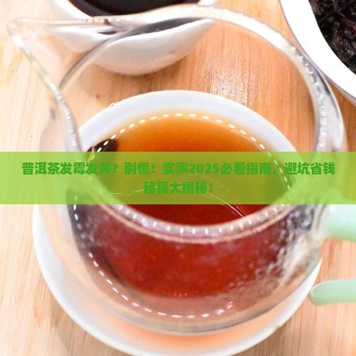 普洱茶发霉发黄能喝吗