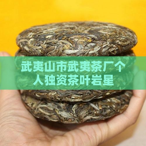 武夷山岩皇茶厂岩星