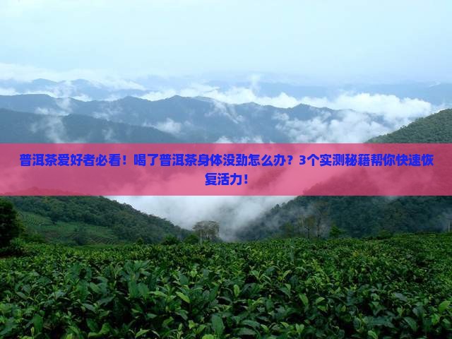 喝了普洱茶身体没劲怎么办