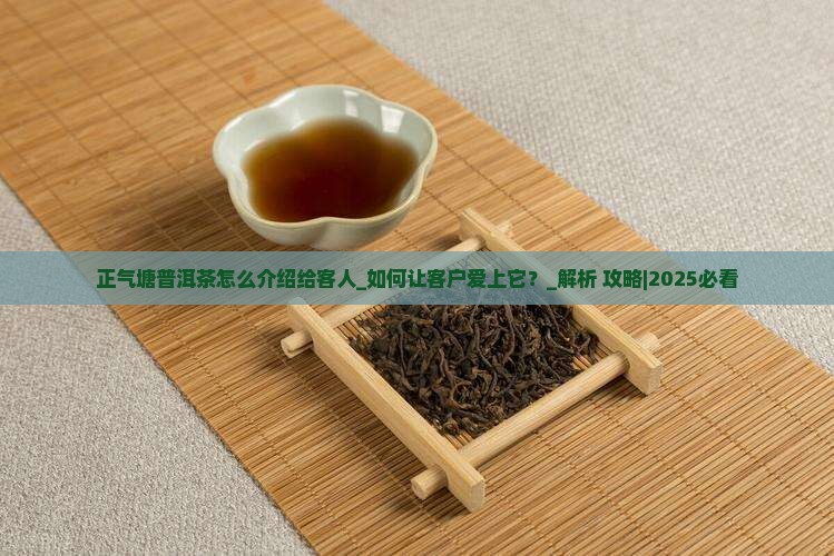 正气塘普洱茶怎么介绍给客人