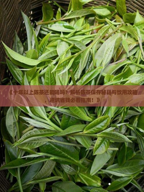 十年以上的陈茶还能喝吗