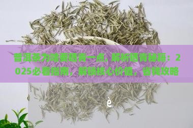 普洱茶为啥要晒青一点