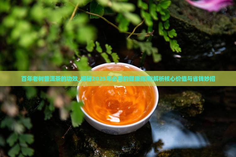 百年老树普洱茶的功效