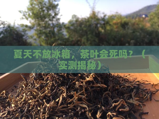 茶叶夏天不放冰箱会坏吗