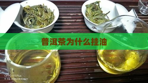 普洱茶为什么挂油