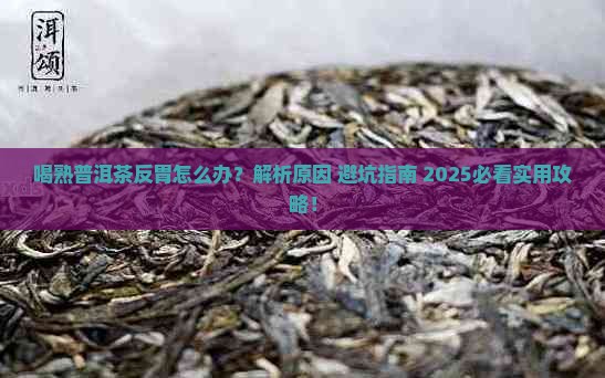 喝熟普洱茶反胃