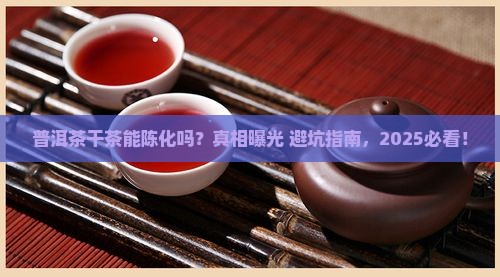 普洱茶干茶能否陈化
