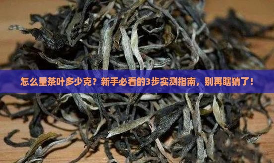 怎么量茶叶多少克