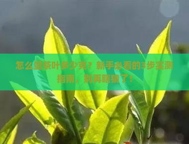 怎么量茶叶多少克