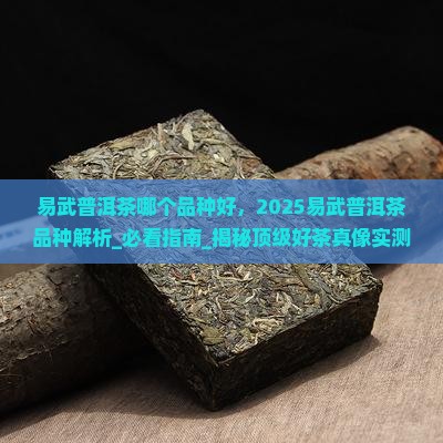 易武普洱茶哪个品种好