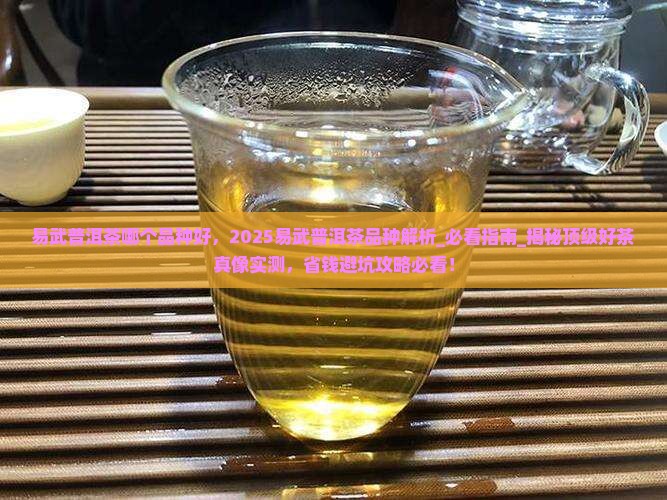易武普洱茶哪个品种好