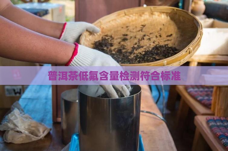普洱茶氟含量检测
