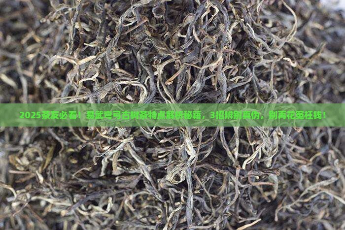 易武弯弓古树茶的特点辨别