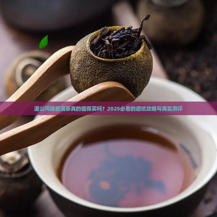 湄公河牌普洱茶