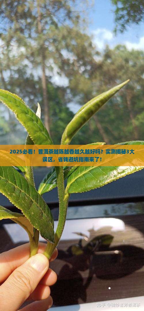 普洱茶越陈越香越久越好吗 普洱茶越陈越香越久越好吗