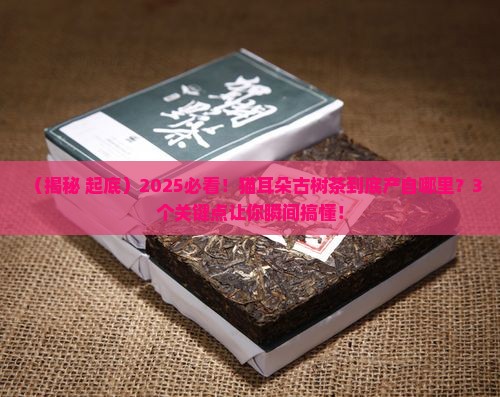 猫耳朵古树茶是哪里的