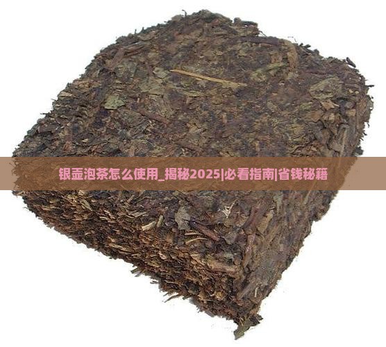 银壶泡茶怎么使用