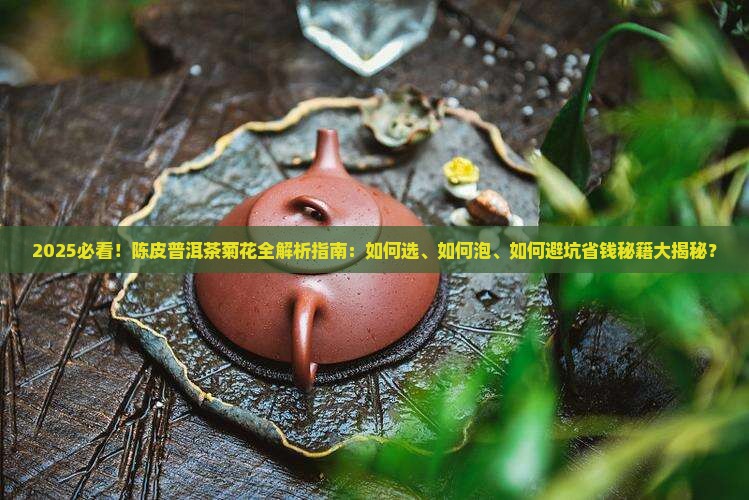 陈皮普洱茶菊花