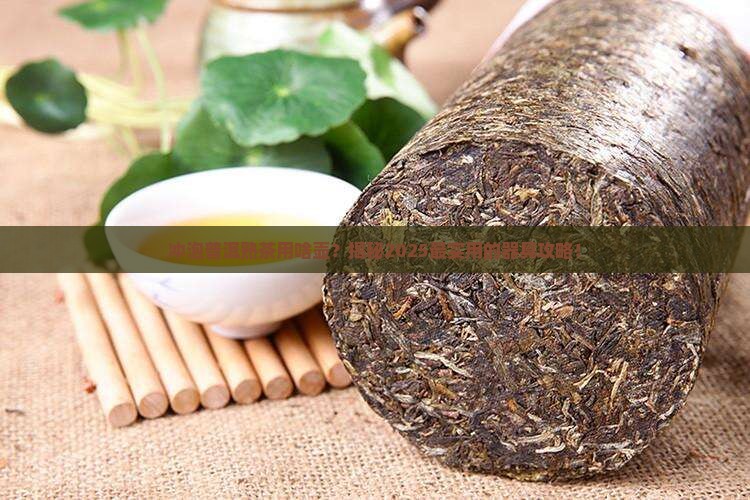 冲泡普洱熟茶时一般采用的器具是