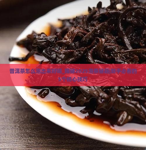 普洱茶怎么泡出来好喝