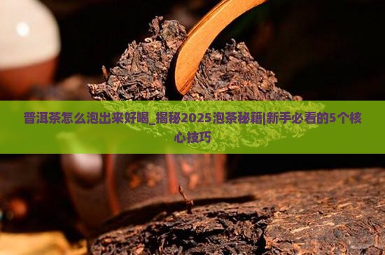 普洱茶怎么泡出来好喝
