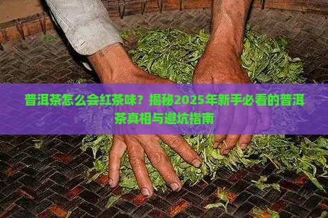 普洱茶怎么会红茶味