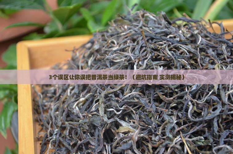 普洱茶是绿茶越陈越香吗