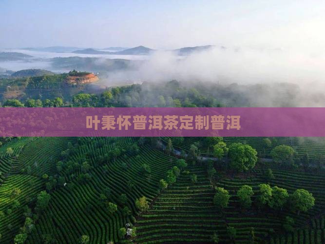 叶秉怀定制普洱茶