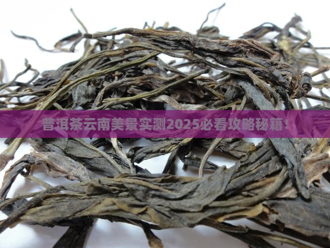 普洱茶云南美景