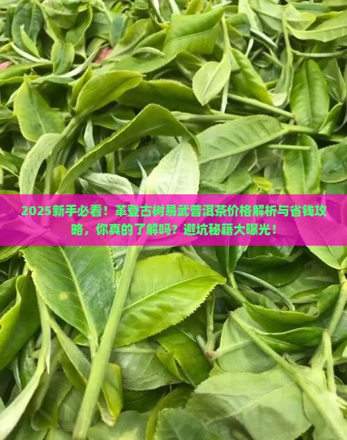 革登古树易武普洱茶价格