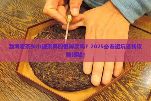 勐海老茶头小罐茶
