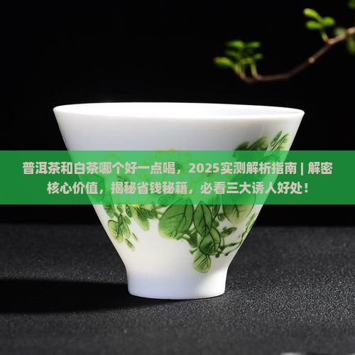 普洱茶和白茶哪个好一点喝