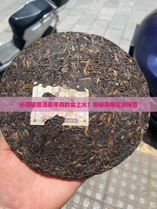 长期喝普洱茶芽上火