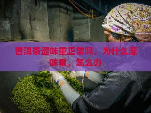 普洱茶涩味重正常吗