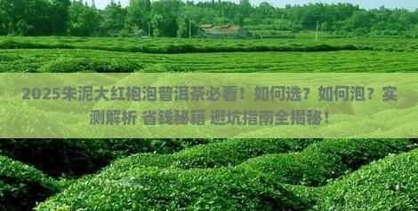 朱泥大红袍泡普洱茶推荐