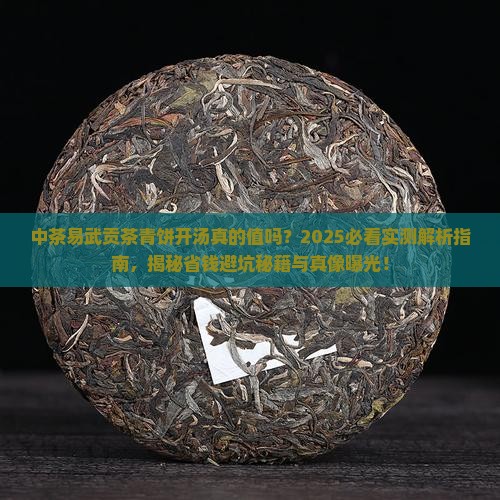 中茶易武贡茶青饼开汤