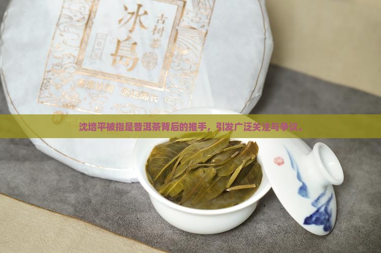 沈培平被指是普洱茶