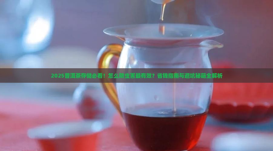 普洱茶怎么存防止生虫害