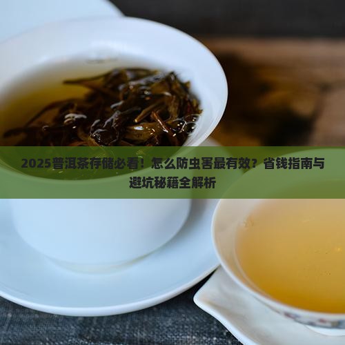 普洱茶怎么存防止生虫害
