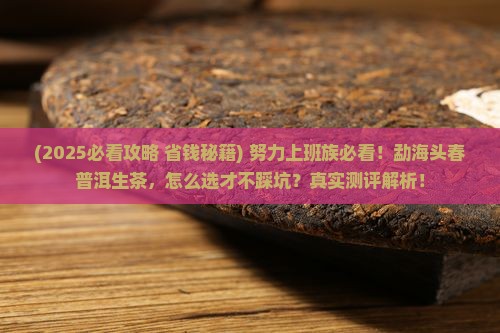 勐海头春普洱茶生茶