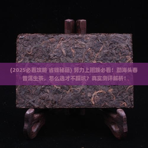 勐海头春普洱茶生茶