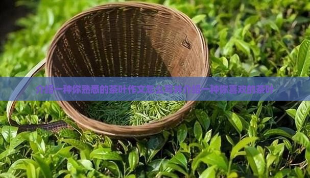 介绍一种你熟悉的茶叶