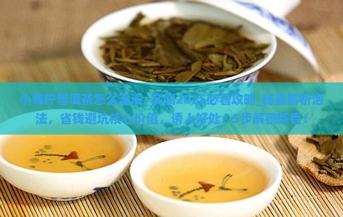 小青柠普洱茶怎么泡法