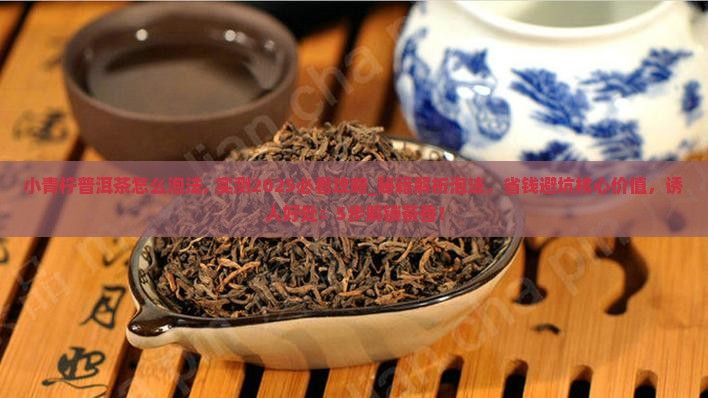 小青柠普洱茶怎么泡法