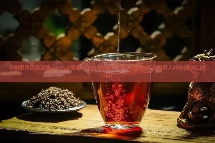 小柑橘普洱茶直播