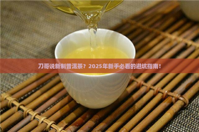 刀哥说新制普洱茶
